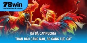 Đá gà Campuchia